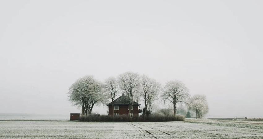 Blog Details Title Goes Here